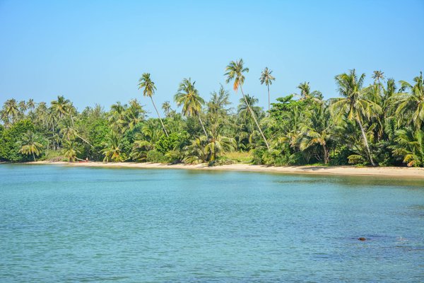 L'art du couchsurfing : Voyager gratuitement chez l'hôte